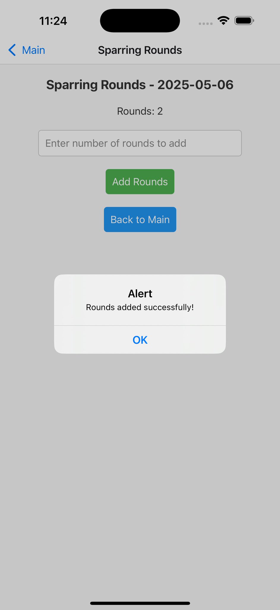 Sparring Round Logger Screen
